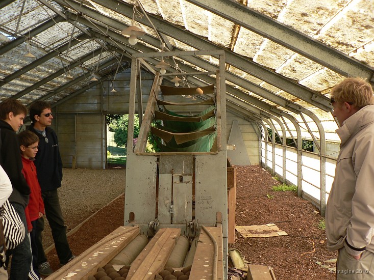 4.31- Demonstration de la premiere machine a calibrer les kiwis.JPG